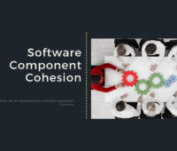 Software Component Cohesion
