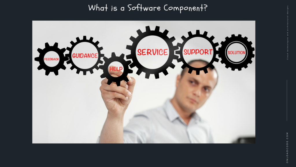 What is a Software Component_