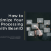 How to Optimize Your Data Processing with BeanIO