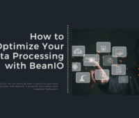 How to Optimize Your Data Processing with BeanIO